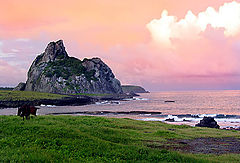 photo "thereabout"