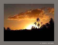 photo "Golden Sunset"