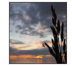 photo "Good-bye!"