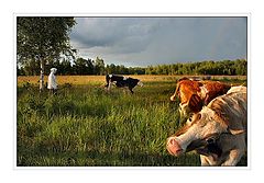 фото ":-)"