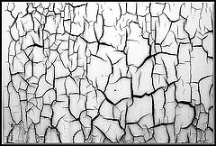 photo "Mosaic"