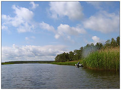 photo "The summer is a small life"