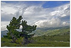 фото "Сартамак"