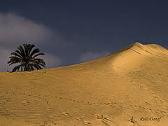 фото "Dunes 3"