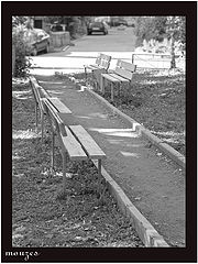 photo "Park"