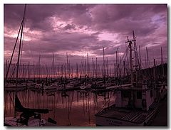 фото "The Fleet"