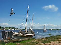 photo "Untitled photo"
