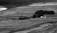 фото "Storm Coming!"