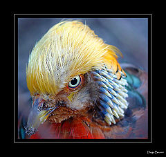 photo "What are you looking for ???!!!"