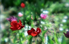 photo "Images in dreams... (1)"
