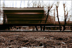 фото "Транзитная"
