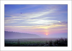 photo "Paints of new day"