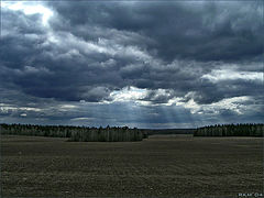 photo "It wiil be a storm..?"