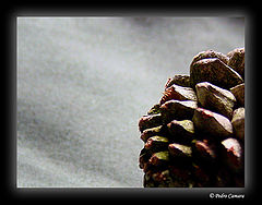 фото "Details"