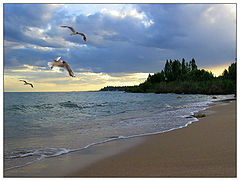 photo "Untitled photo"