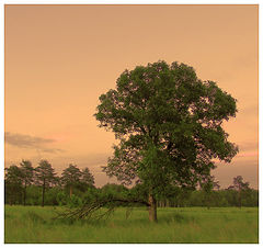 photo "For billion years up to a doomsday"
