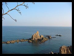 фото "Ree of the sirens"