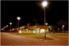 фото "in the night"