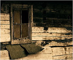 фото "Days of gone"