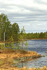 photo "Untitled photo"