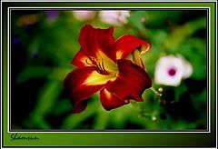 фото "Beauty of nature 2"