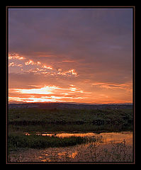 photo "Situated near Moscow evenings - 3"