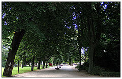 photo "Nobody"