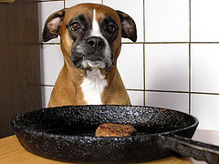 photo "Will power."