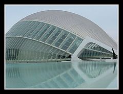 фото "Reflex"