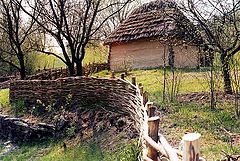 photo "the Wooden Serpantine"
