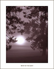 фото "Spirit of the Light"