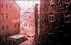 photo "..."