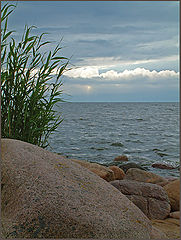 фото "Latvian summer"