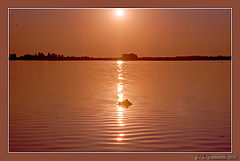 photo "Before sunset gold..."