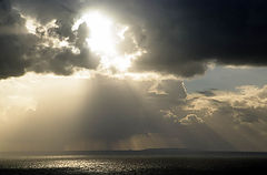photo "Heavy shower"