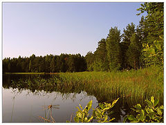 photo "Pure lakes in Kurtna"