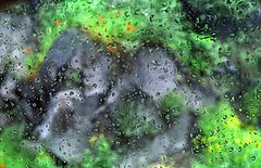 photo "Abstraction in rainy spring day..."