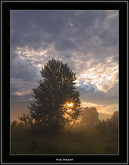 фото "Сердце"