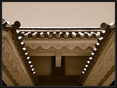 photo "roofs"