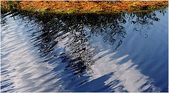 фото "Waves"