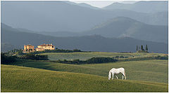 фото "Toscana 2002a"