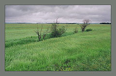 photo "Feelling Autumn"