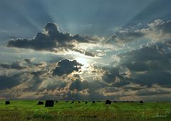 photo "Untitled photo"