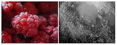 photo "red and some sugar"