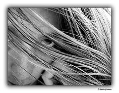 фото "My girl"