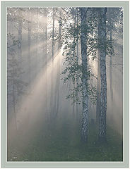 photo "***"