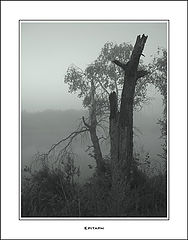 фото "Epitaph"