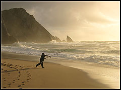 фото "Fishing the light"