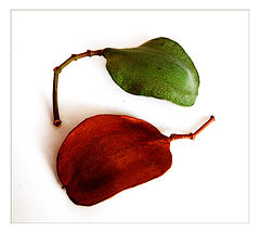 photo "* * *"