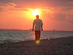 photo "Solar gait"
